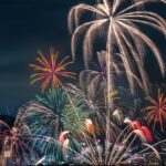 fireworks, fireworks display, nature, lake, lake biwa, event, palm tree, japan, phone wallpaper, aesthetic wallpaper